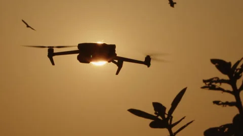 A Beautiful Drone Silhouette Creatively Captured Against a Breathtaking Sunset Stock Footage 305880053