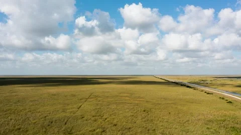 Beautiful drone time lapse pull back shot over a field at Loxahatchee NWR in Vídeos de archivo 305477473