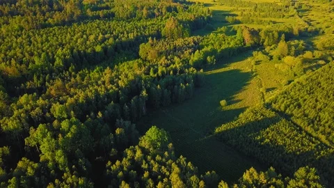 Beautiful drone video with spring forest and fields in Poland.  Stock Footage 108964048