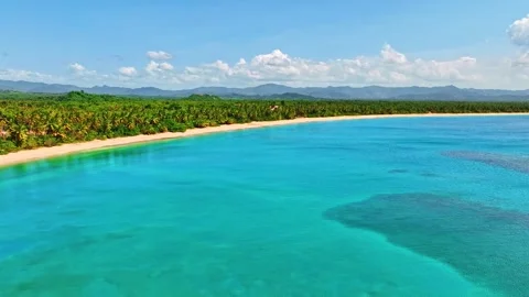 Beautiful drone view of a beach with a palm forest and the ocean. Stock Footage 310320958
