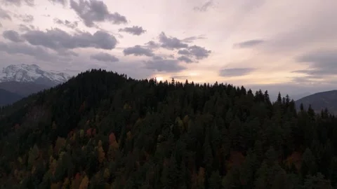 Beautiful drone view of the forest and mountains during sunset Stock Footage 300273884