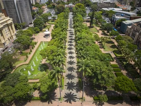 Beautiful drone view to line of imperial palm trees on green square Stock Photos
