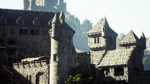 Beautiful drone view of the old castle with park on the hill Stock Illustration