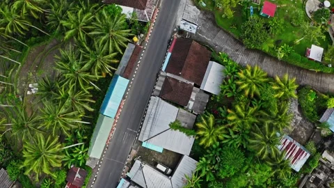 Beautiful drone view over small town and houses Ubud, Bali, 2K Stock Footage 246100660