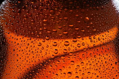 Beautiful drops on bottle of beer Stock Photos