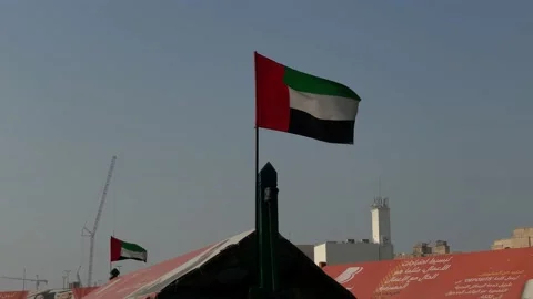 A Beautiful Dubai flag Stock Footage 156714434