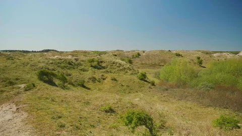 Beautiful dunes in the Netherlands  Stock Footage 129074418