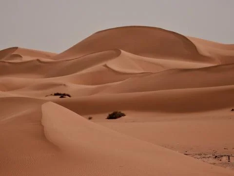 Beautiful dunes in southern Algeria Stock Photos