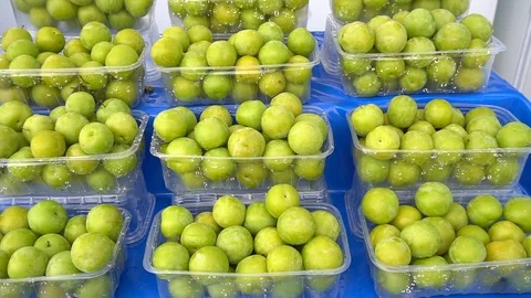 A Beautiful Dynamic View Of Healthy Fruit Food. Plums On The Counter Vidéo 97060309