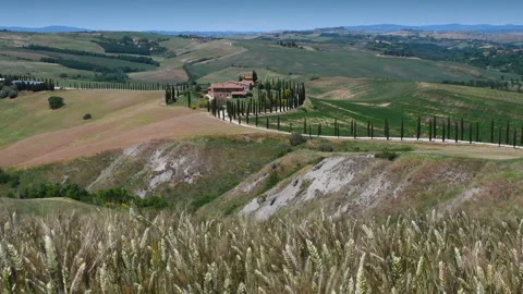 Beautiful ears of corn move in the wind near Asciano Stock-Footage 131151570