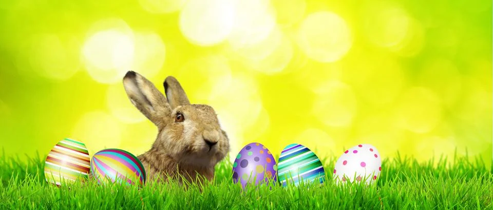 Beautiful Easter background with colorful Easter eggs Stock Photos