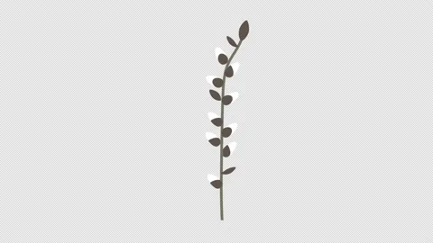 Beautiful Easter Base, waggingon alpha channel Stock Footage 151465289