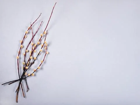 The beautiful easter bunch of the willow branches on the gray background with Stock Photos