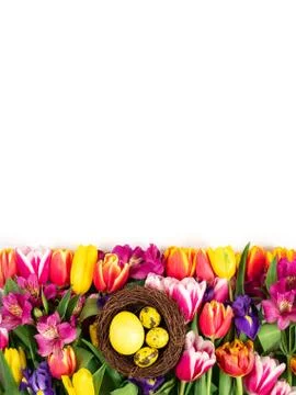 Beautiful Easter composition with spring flowers and yellow eggs in a nest  Stock Photos