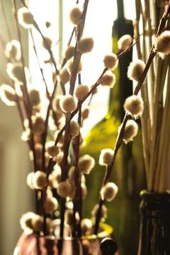 The beautiful easter composition of willow branches, glass and ceramic objects. Stock Photos