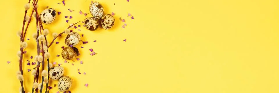 The beautiful easter composition of the willow branches and quail eggs on the Stock Photos