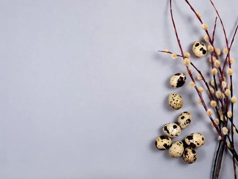 The beautiful easter composition of the willow branches and quail eggs on the Stock Photos