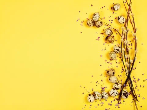 The beautiful easter composition of the willow branches and quail eggs on the Stock Photos