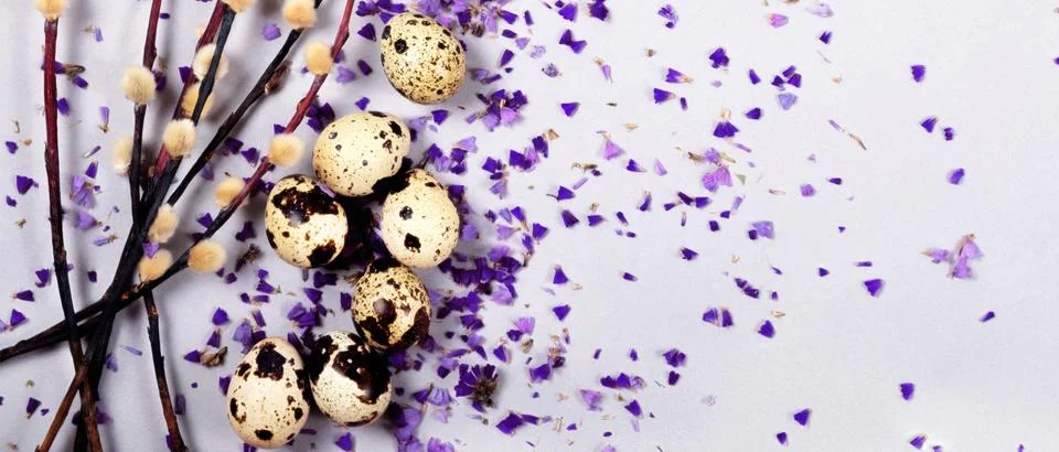 The beautiful easter composition of the willow branches and quail eggs on the Stock Photos