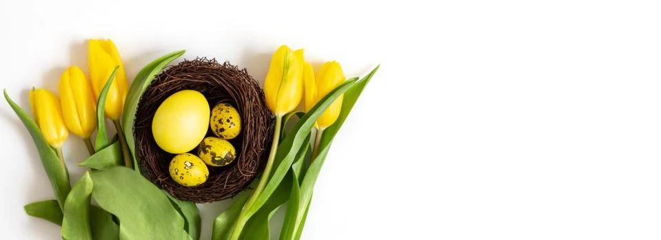 Beautiful Easter composition with yellow eggs in the nest and spring flowers  Stock Photos