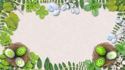 Beautiful easter eggs in bird nest with wild plants decorated frame on whit.. Stock Illustration