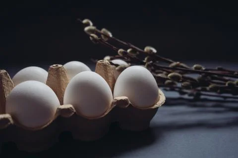 Beautiful Easter eggs concept. White easter eggs in carton box and willow Stock Photos