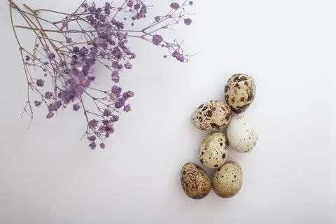 Beautiful Easter eggs with decor Stock Photos