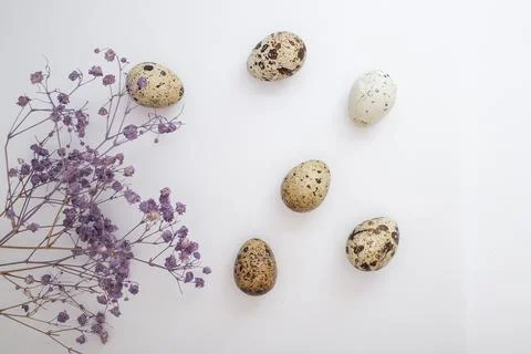 Beautiful Easter eggs with decor Stock Photos