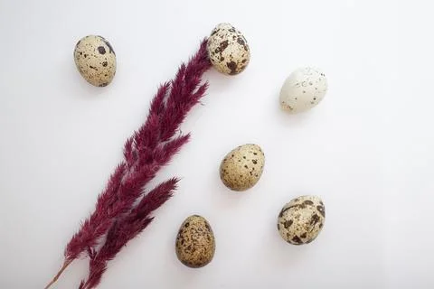 Beautiful Easter eggs with decor Stock Photos