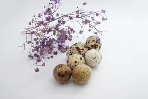Beautiful Easter eggs with decor Stock Photos