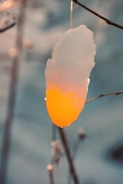 Beautiful easter eggs on a tree branch outdoors Stock Photos