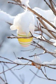 Beautiful easter eggs on a tree branch outdoors Stock Photos