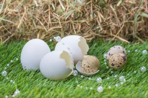 Beautiful easter nest on meadow with eggs and luxury necklace. Happy easter w Stock Photos