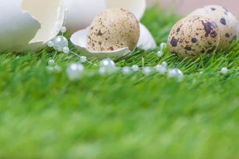 Beautiful easter nest on meadow with eggs and luxury necklace. Happy easter w Stock Photos