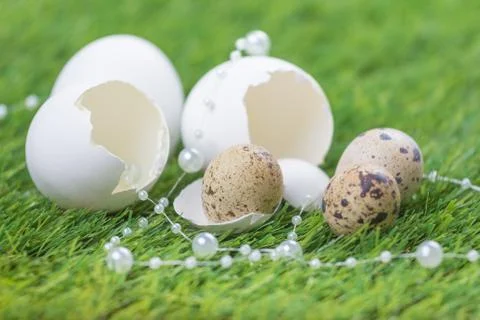 Beautiful easter nest on meadow with eggs and luxury necklace. Happy easter w Foto stock