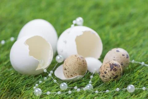 Beautiful easter nest on meadow with eggs and luxury necklace. Happy easter w Stock Photos