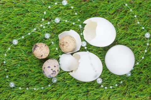 Beautiful easter nest on meadow with eggs and luxury necklace. Happy easter w Stock Photos