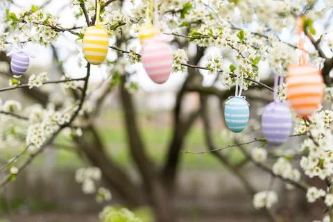 Beautiful Easter painted eggs in the branches of a blossoming apple tree Stock Photos