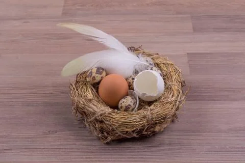 Beautiful easter straw basket with many eggs and white feather. Happy easter  Stock Photos
