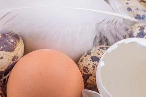 Beautiful easter straw basket with many eggs and white feather. Happy easter  Stock Photos