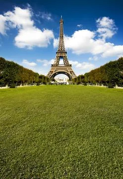 Beautiful Eiffel tower with huge grass copy space Stock Photos