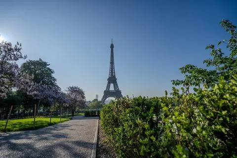 Beautiful Eiffel Tower in Paris. Nice day Stockfoto's