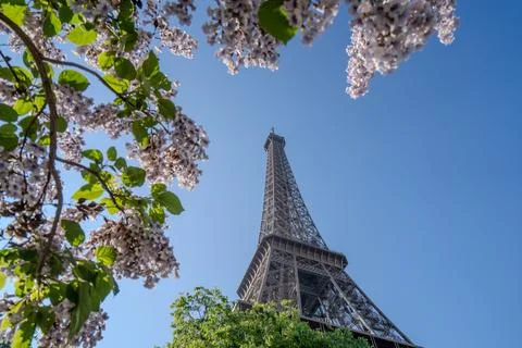 Beautiful Eiffel Tower in Paris. Nice day Stock Photos