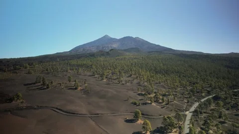 A beautiful El Teide Landscape 库存影片 272662805