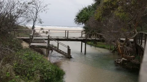 Beautiful Eli creek on Fraser Island Stock Footage