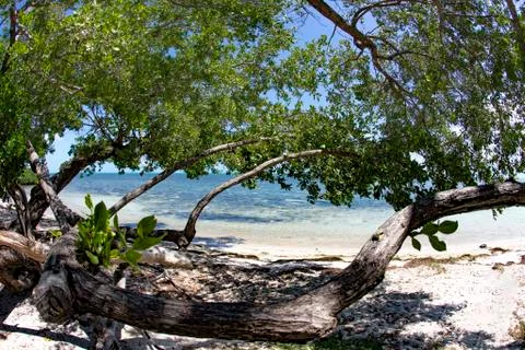 Beautiful empty beach in the Keys Stock Photos