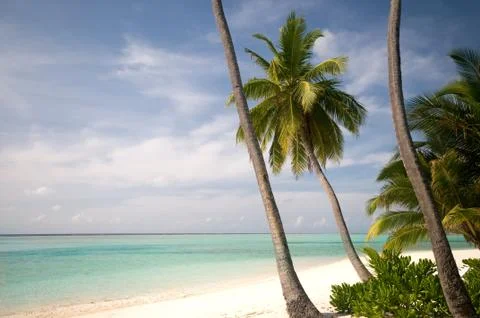 Beautiful empty beach Stock Photos