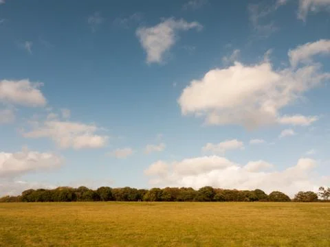 Beautiful empty farm plain flat grass land tree line and blue sky with clouds Foto stock