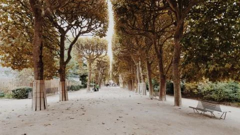 Beautiful empty garden, tree corridor, empty Stock Photos