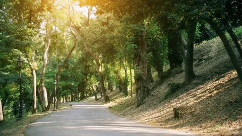 Beautiful, empty green pathway or park road in summer time.  Stock Footage 98955681